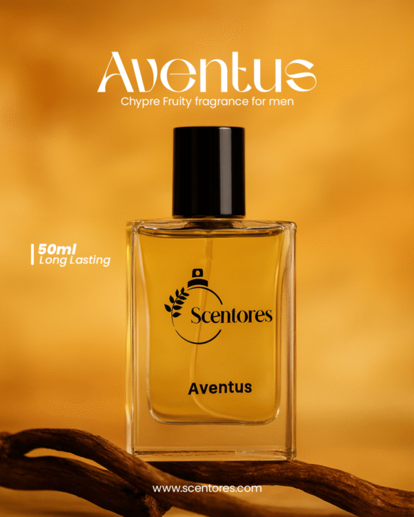 Aventus Social Media